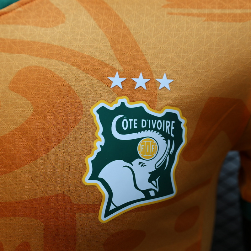 2024 Ivory Coast Home Player Version Soccer Jerseys Football Shirts 1