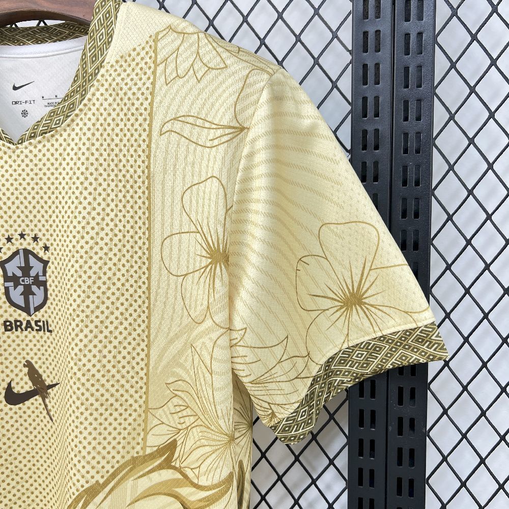 2025 Brazil Special Edition Kit Soccer T-Shirt AAAAJersey Yupoo-1 2