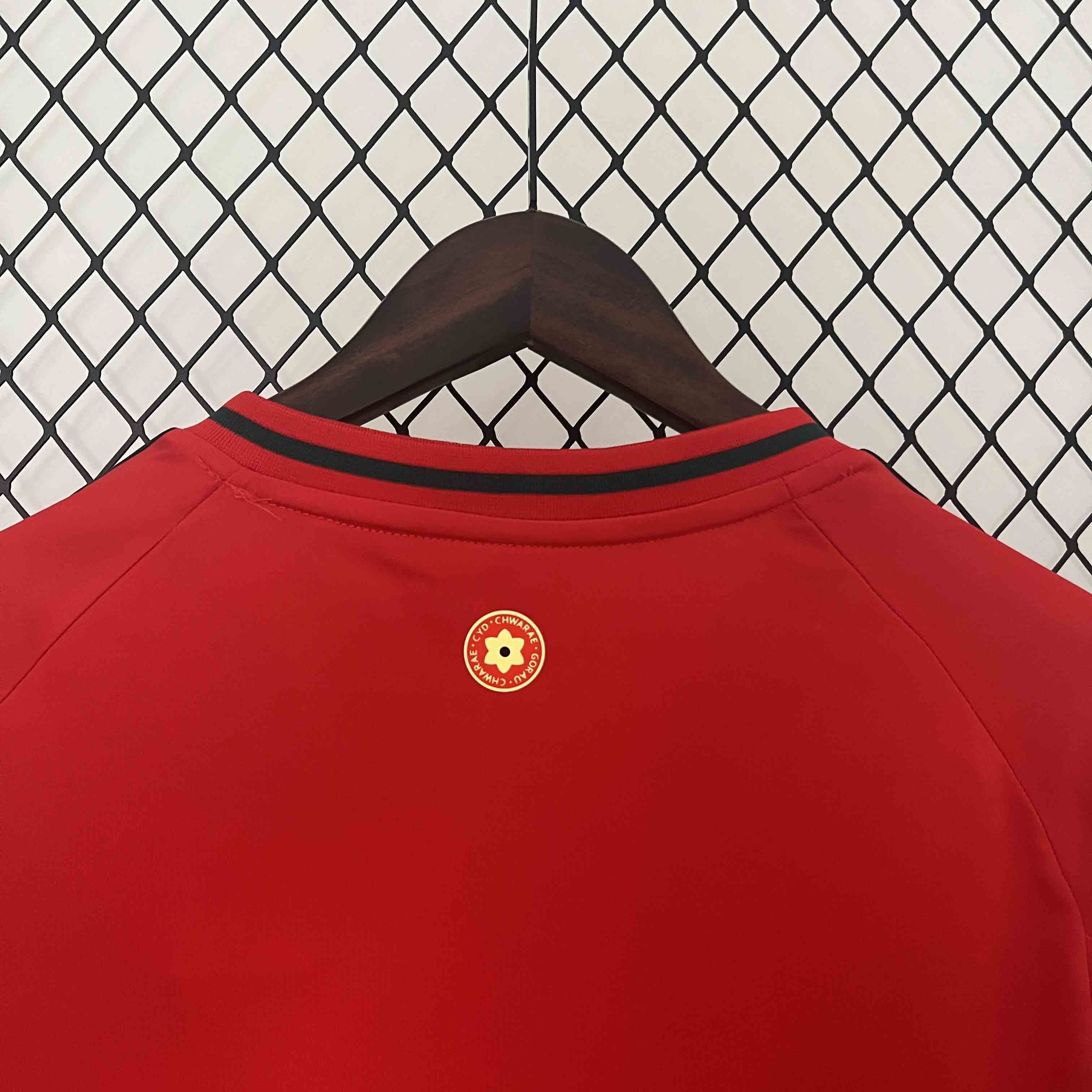 2024 Wales Home Shirt Football AAAAJersey Yupoo 6