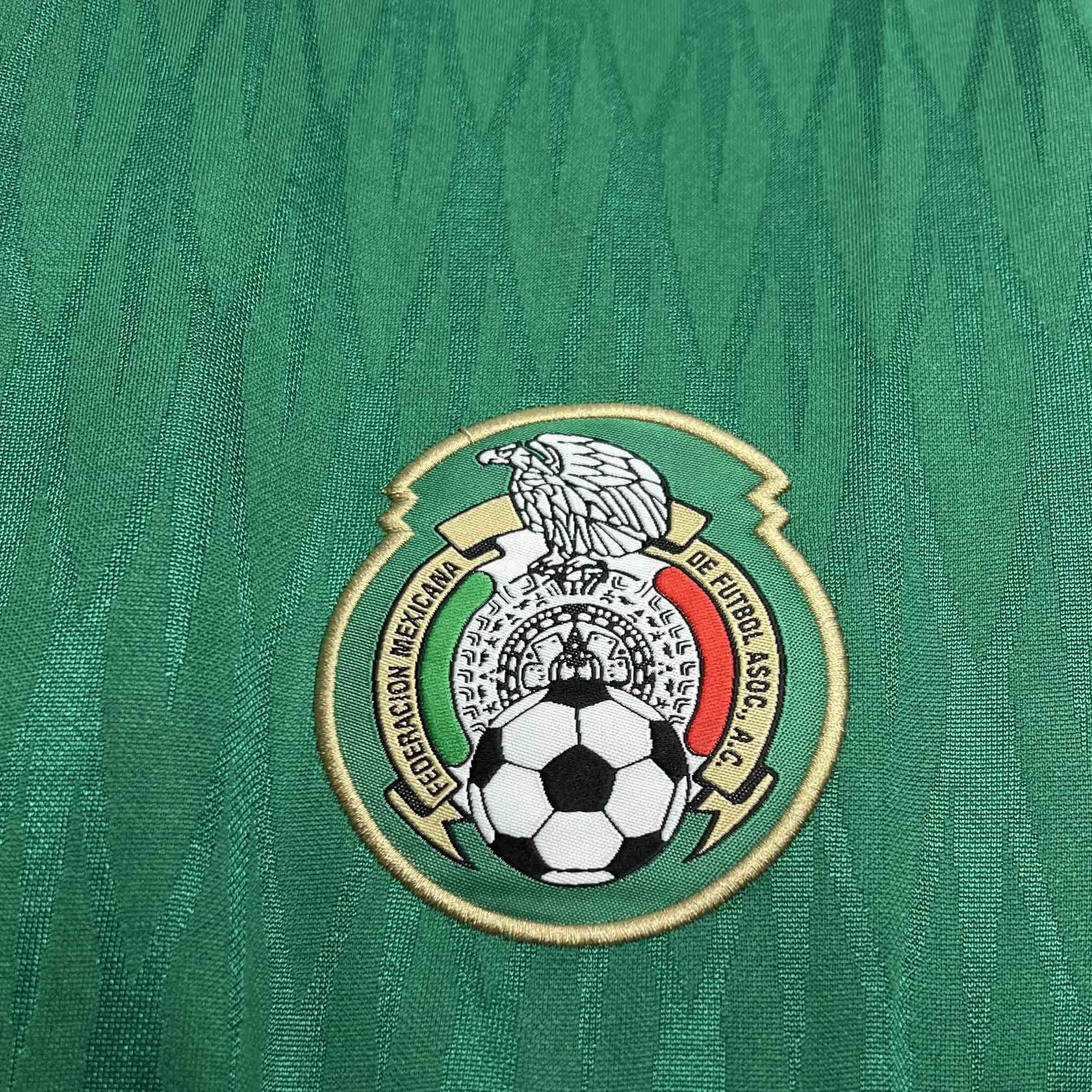 2010 Mexico home 4