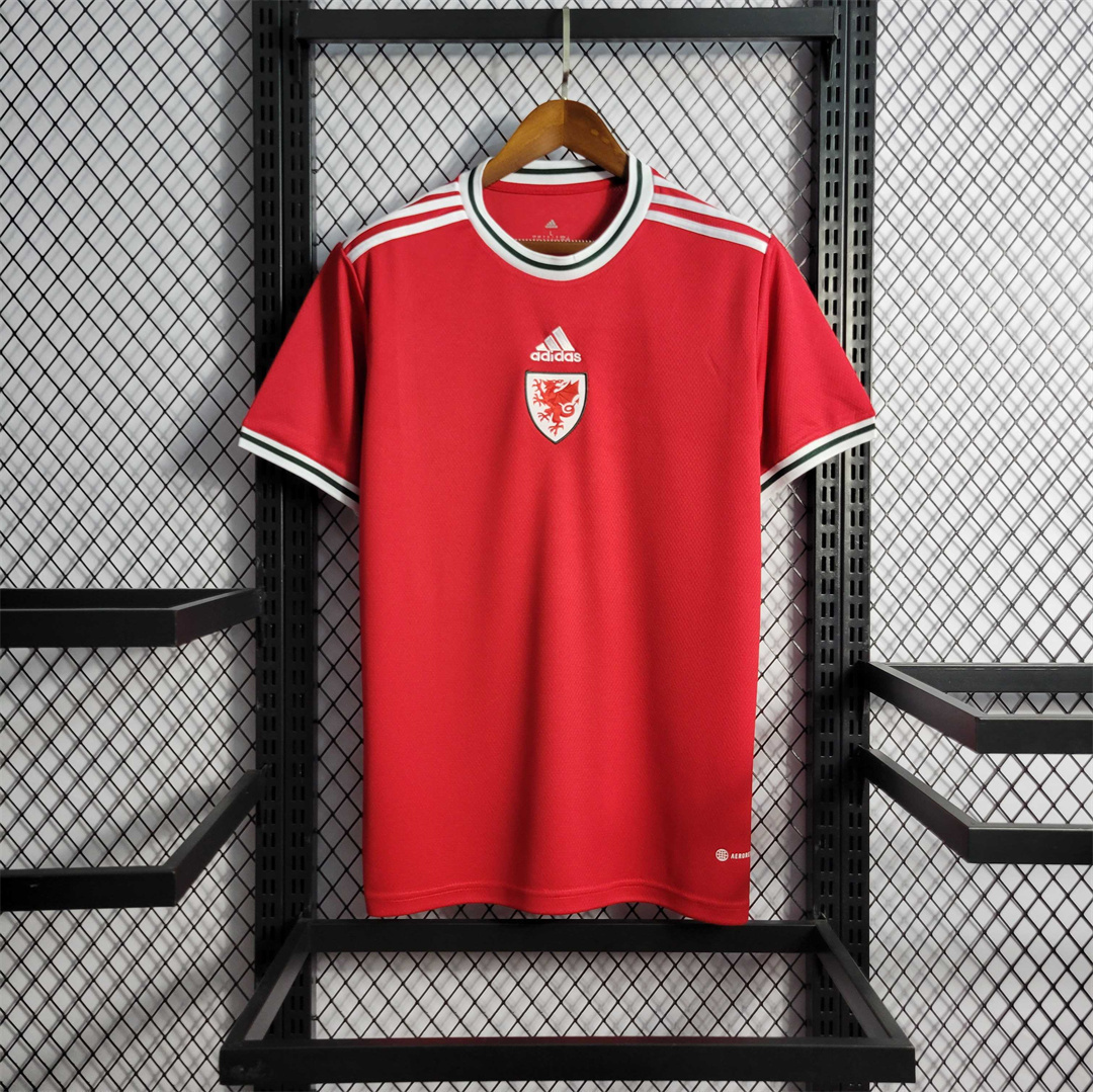 2022 Wales home
