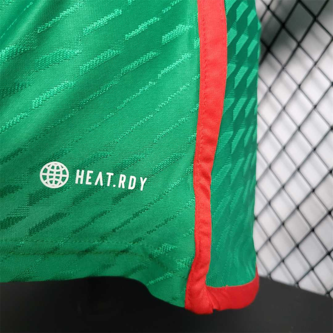 2022 Mexico home player version 10
