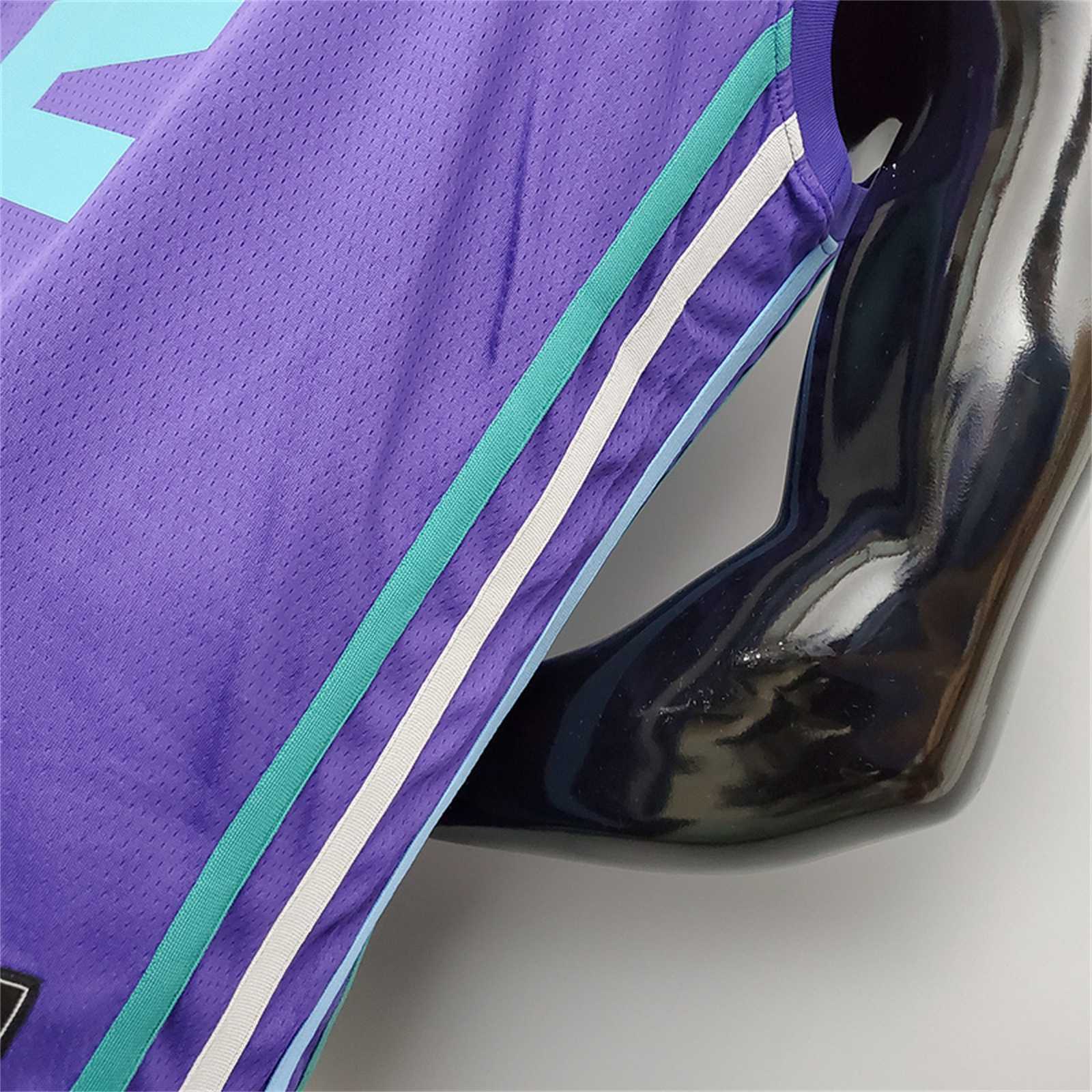 Hornets Ball#2 Purple 3