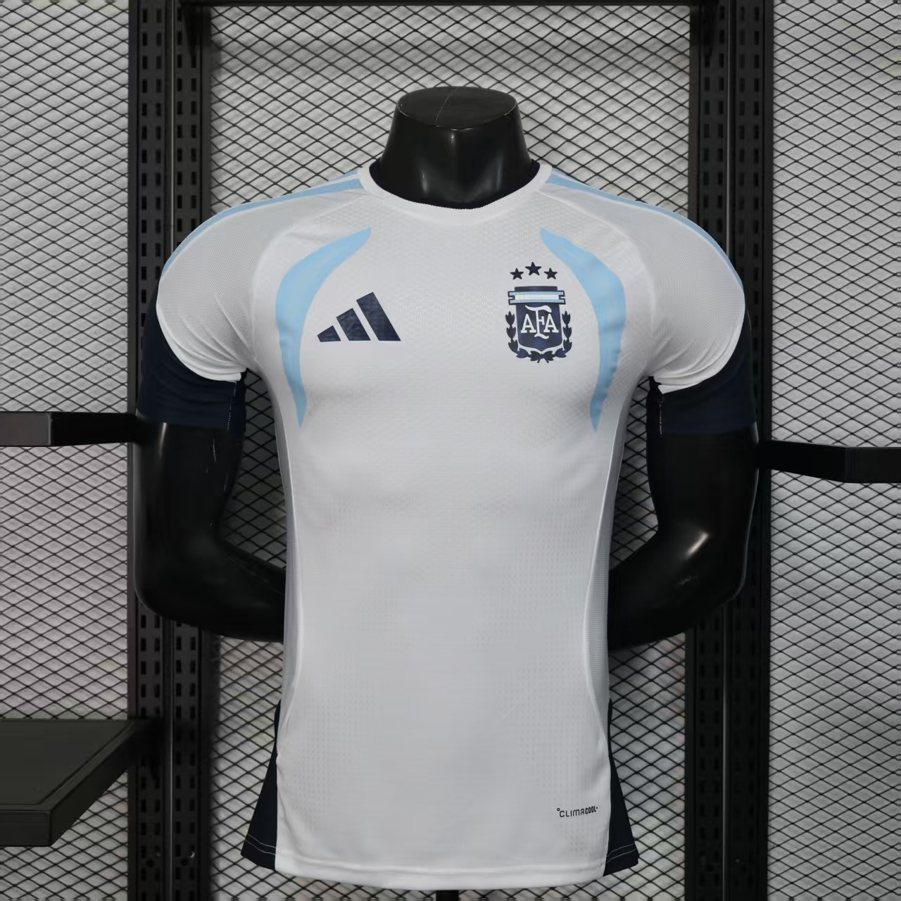 2026 Argentina Pre-Match Football Player Version T-Shirt AAAAJersey Supply Yupoo