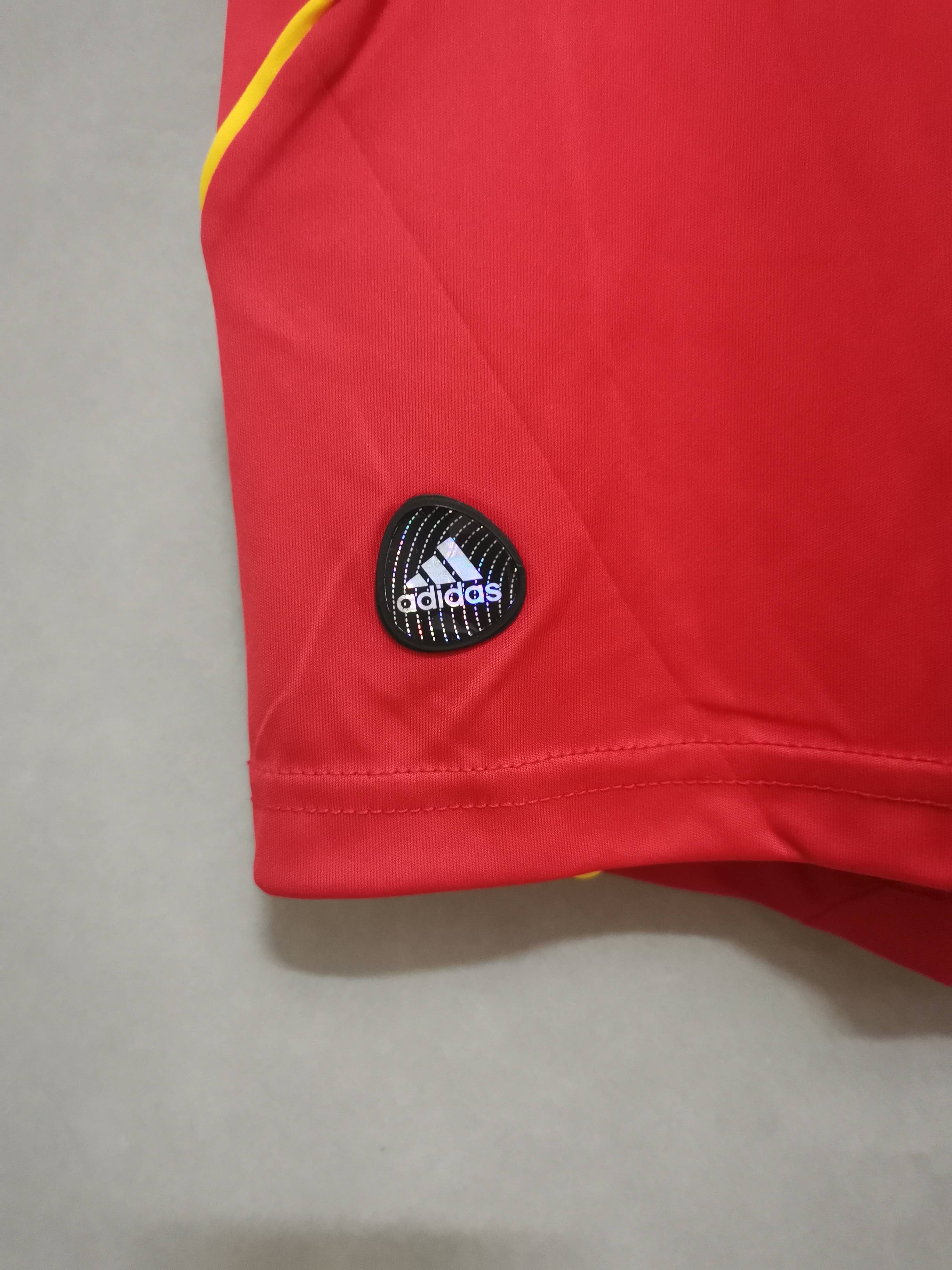 2008 Spain home 8