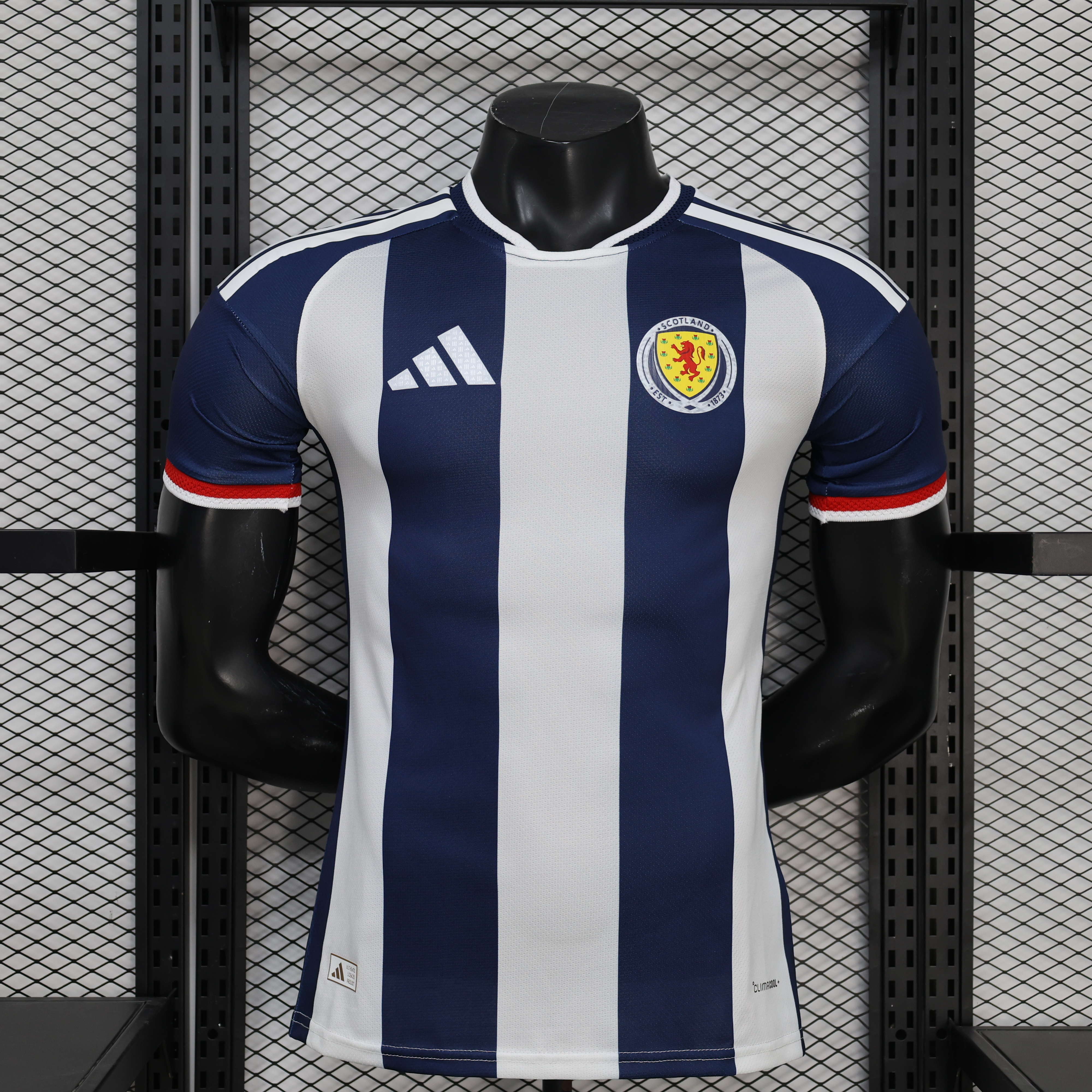 2026 World Cup Wales Special Edition Football Shirt Player Edition AAAA Jersey Drop ship Yupoo