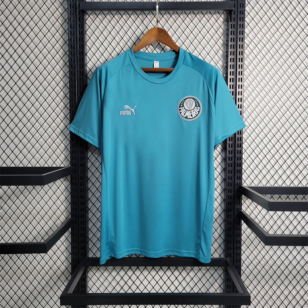 23-24 Palmeiras Training Suit Green