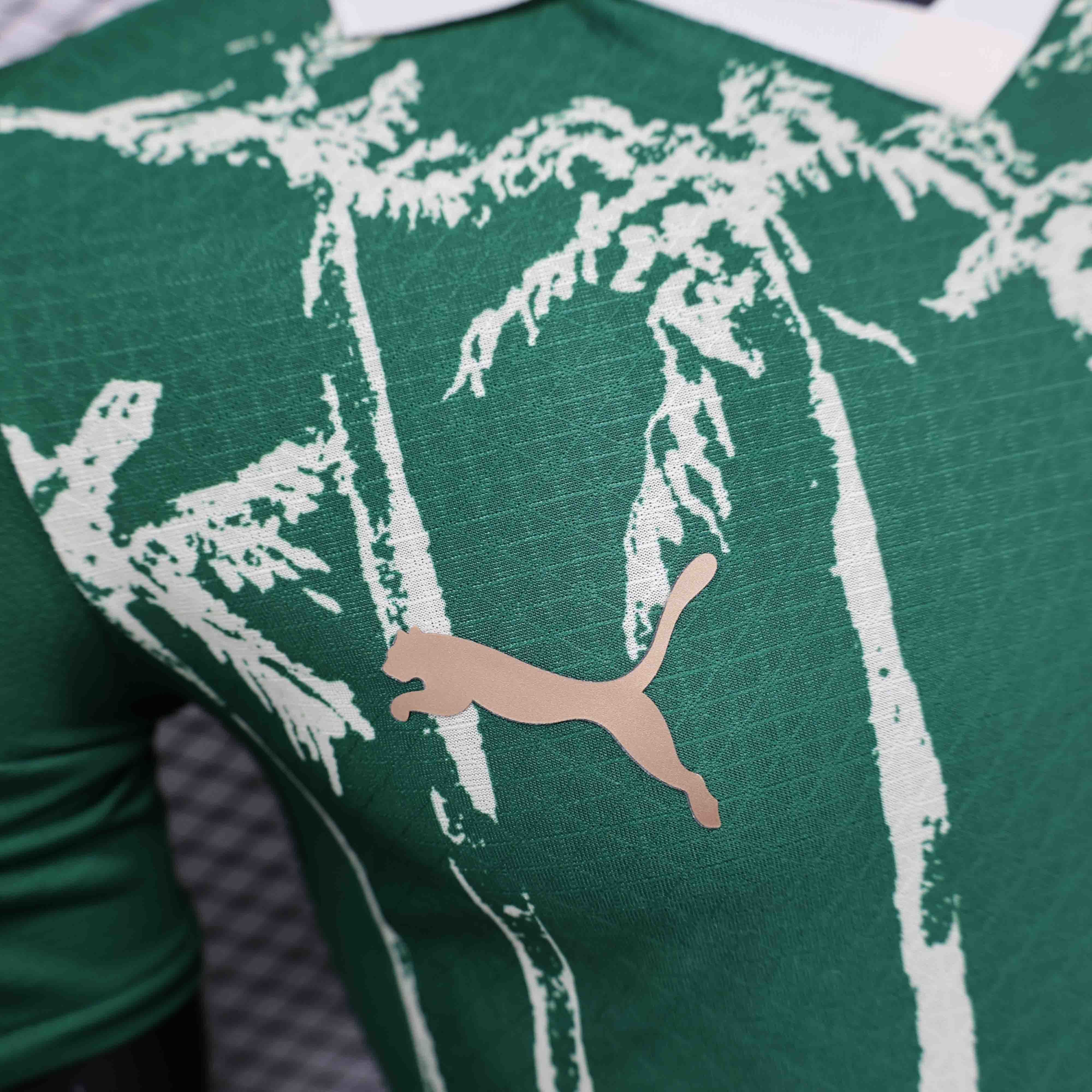 25-26 Palmeiras Cup World Home Kit Player Version Shirt AAAAJersey Supplier Yupoo 2