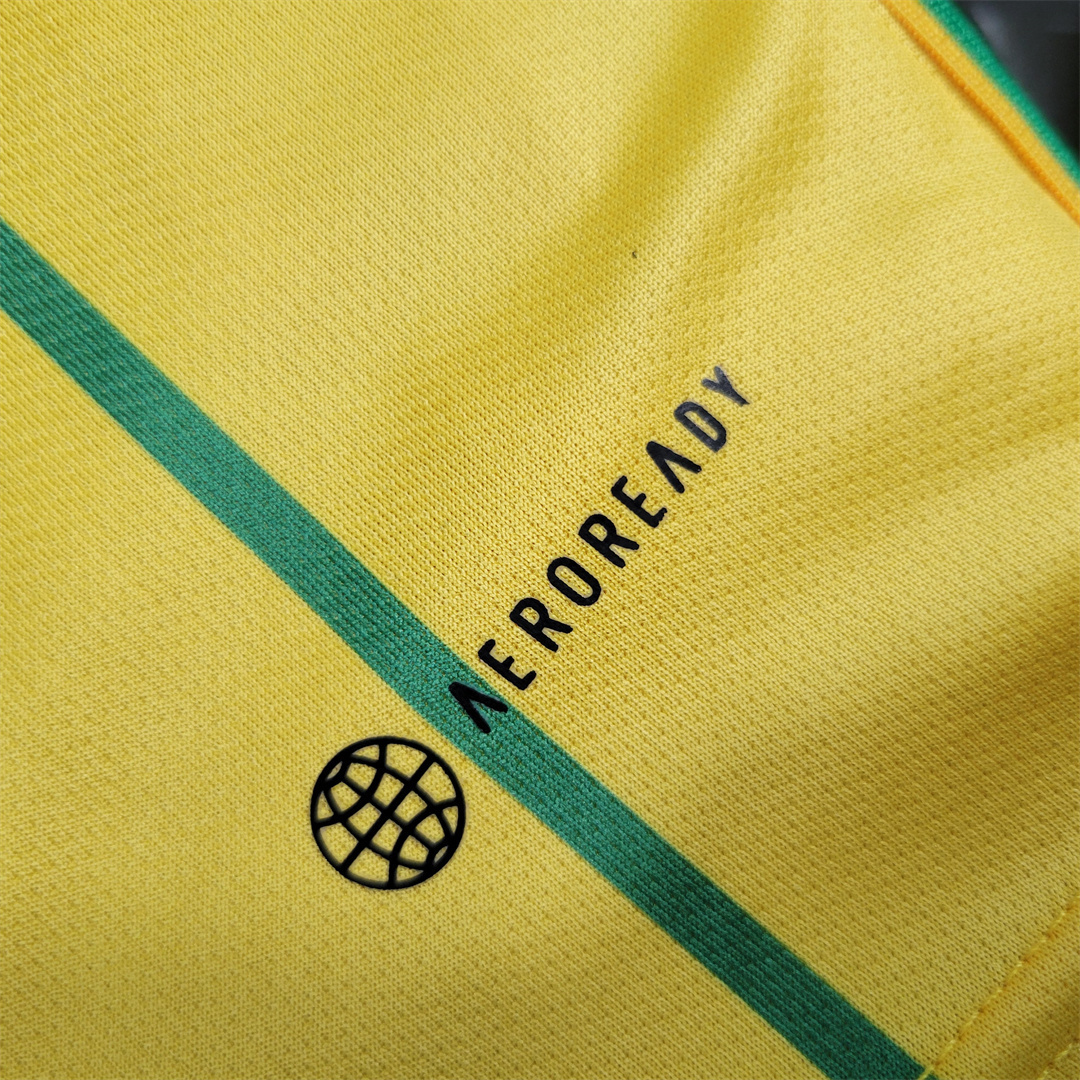 2023 Jamaica Home Shirt Best Jerseys Yupoo 1