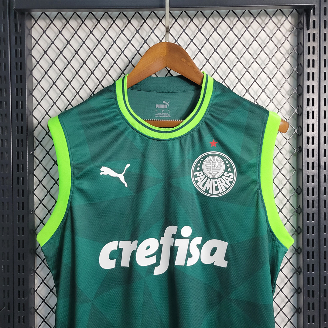 23-24 Palmeiras home tank 2
