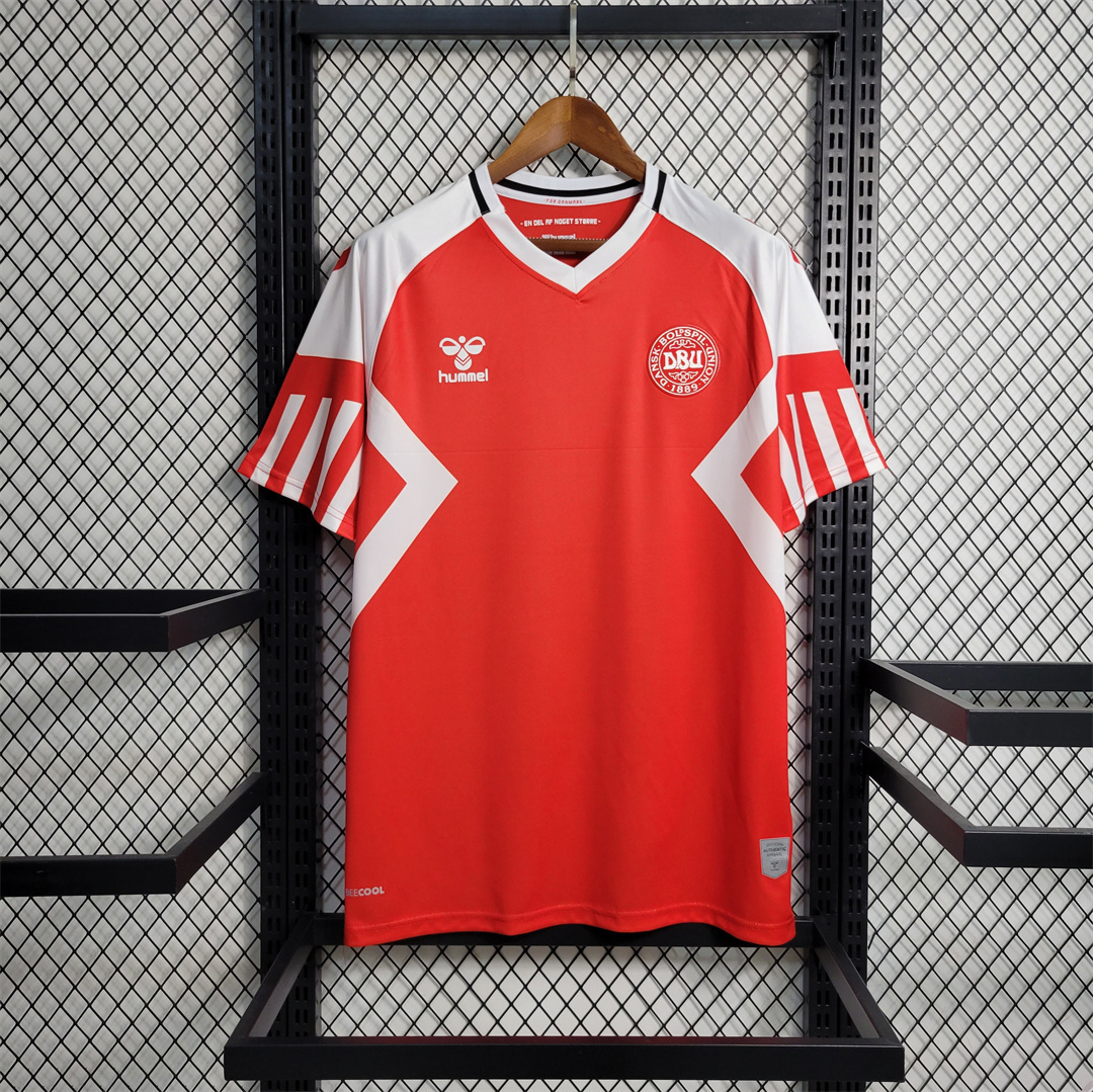 2023 Denmark home