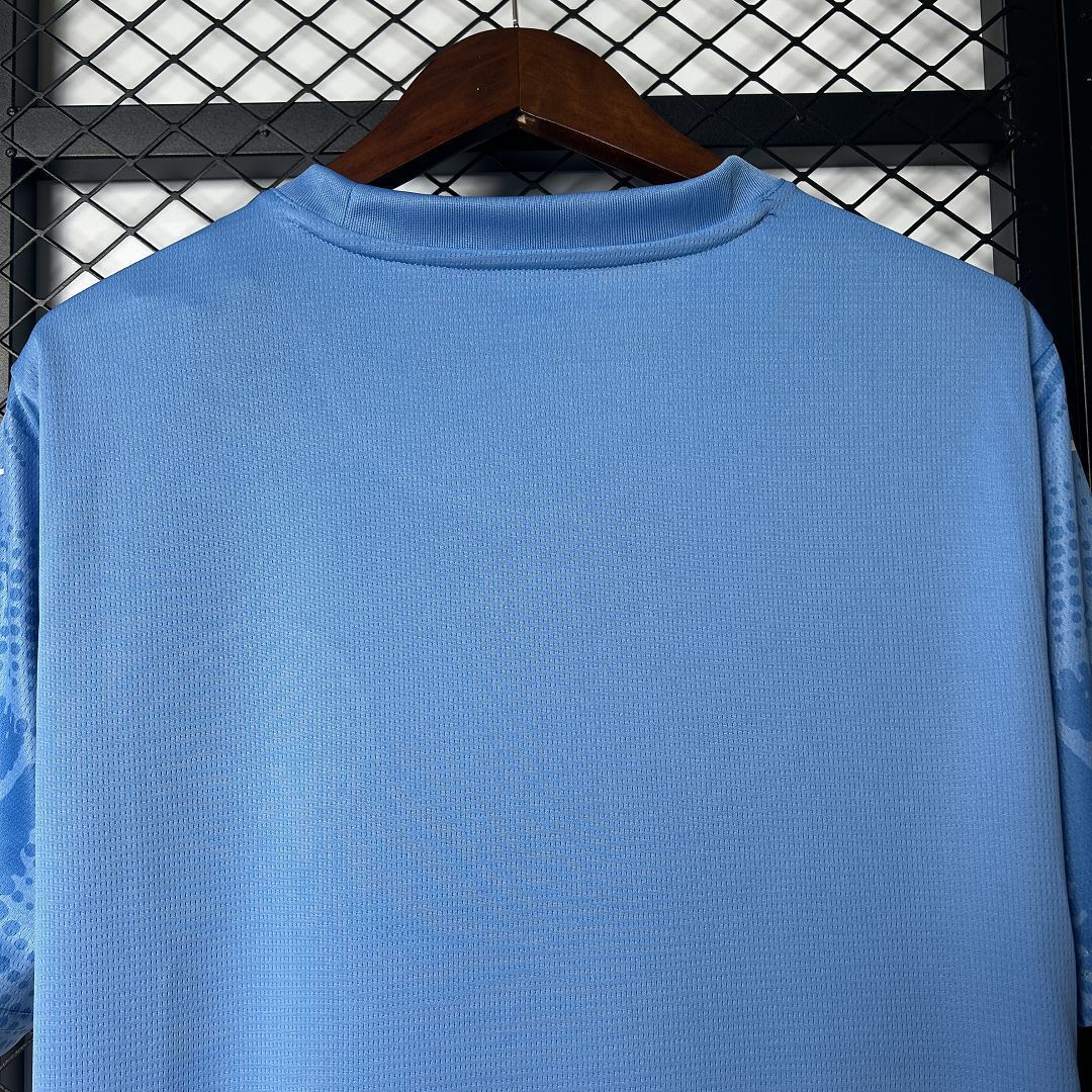 25-26 Palmeiras Goalkeeper Blue Kit Soccer T-Shirt AAAAJersey Wholesale Yupoo 2