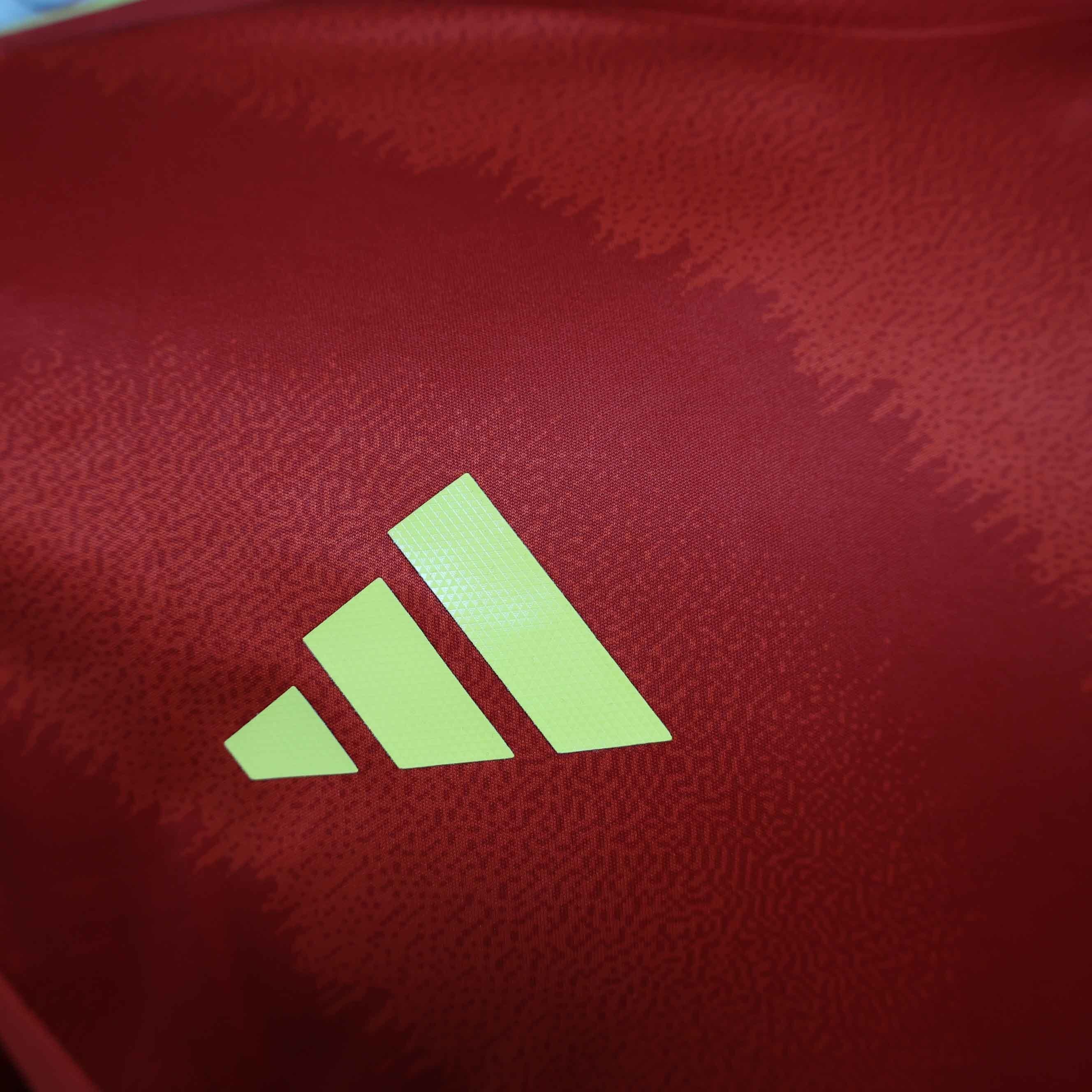 2024 Spain Home Long Sleeve Kit Player Version Shirt Sport AAAAJersey Yupoo 4