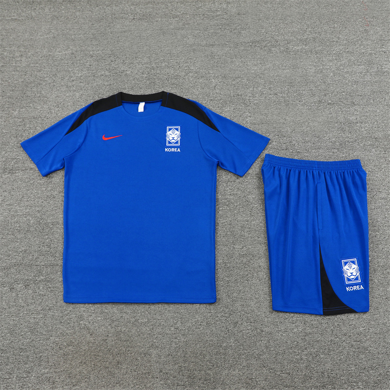 2024 South Korea Training Soccer Jerseys Football Shirts 2