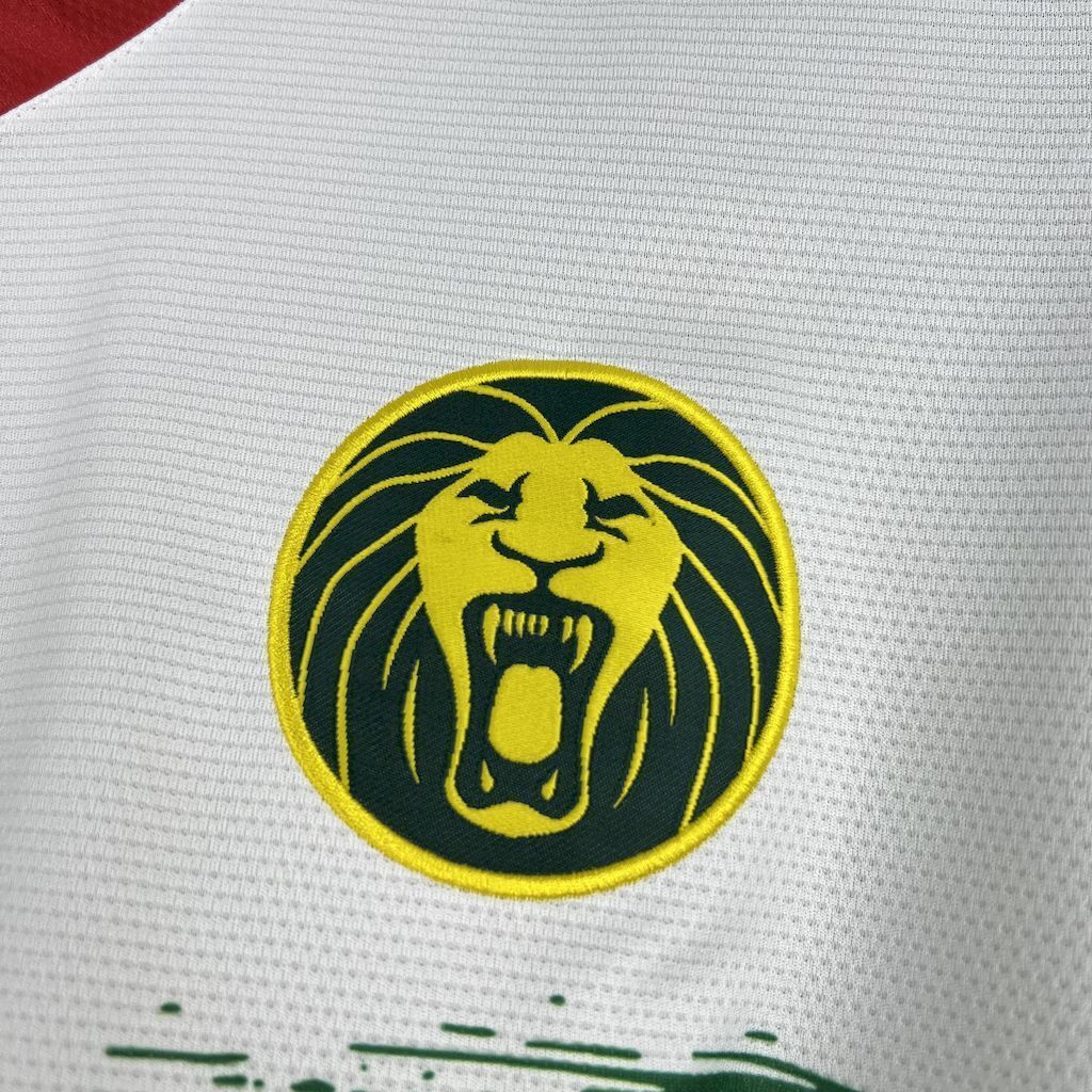 2025 Cameroon Third Shirt Football Uniform AAAAJersey Supply Yupoo 2