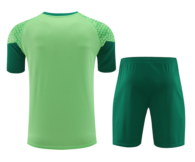 24-25 Palmeiras Training Soccer Jerseys Football Shirts 2