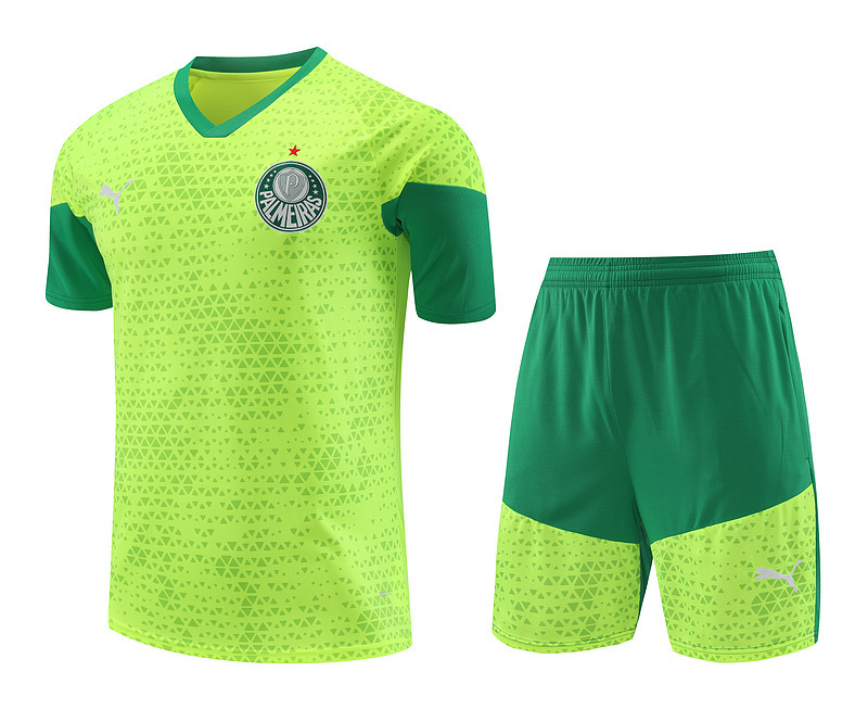 24-25 Palmeiras Training Soccer Jerseys Football Shirts