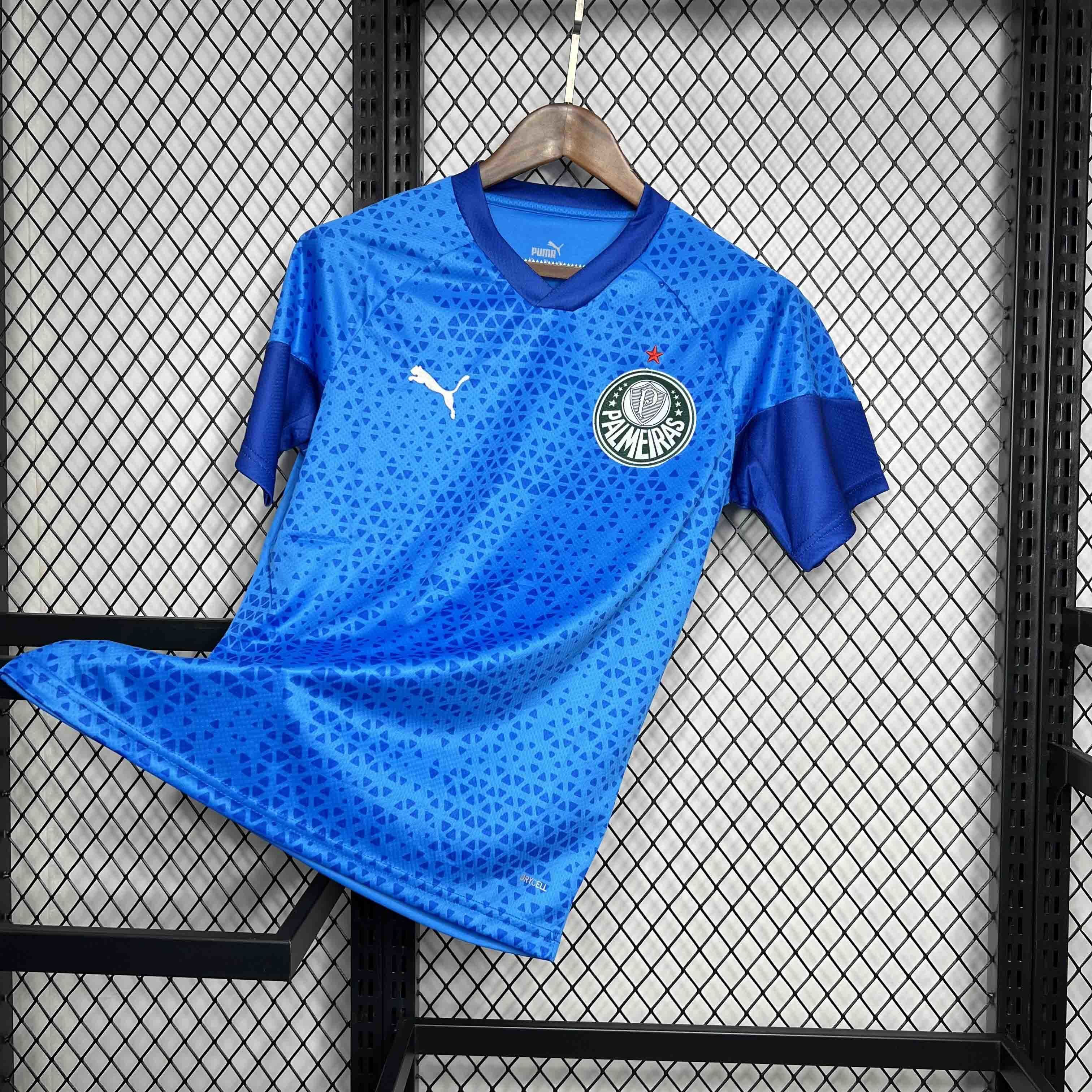 24-25 Palmeiras Goalkeeper Blue Kit Football Uniform AAAAJerseys Dropshipping Yupoo 3
