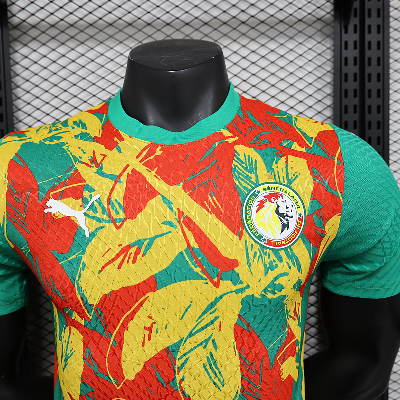 24-25 Ivory Coast Pre-match Kit Player Version Shirt Soccer AAAAJersey Yupoo 8