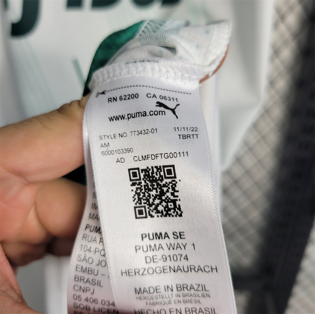 23-24 Palmeiras away 17