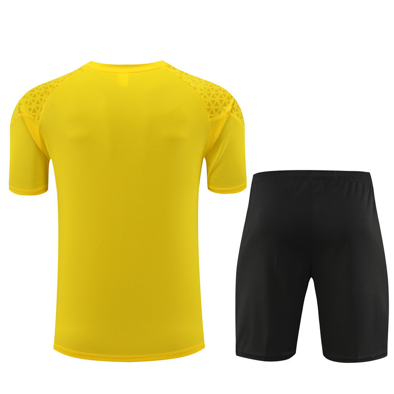 23-24 Dortmund Training Soccer Jerseys Yupoo 3