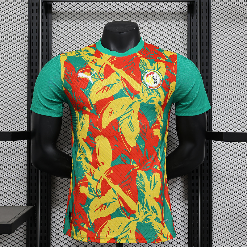 24-25 Ivory Coast Pre-match Kit Player Version Shirt Soccer AAAAJersey Yupoo