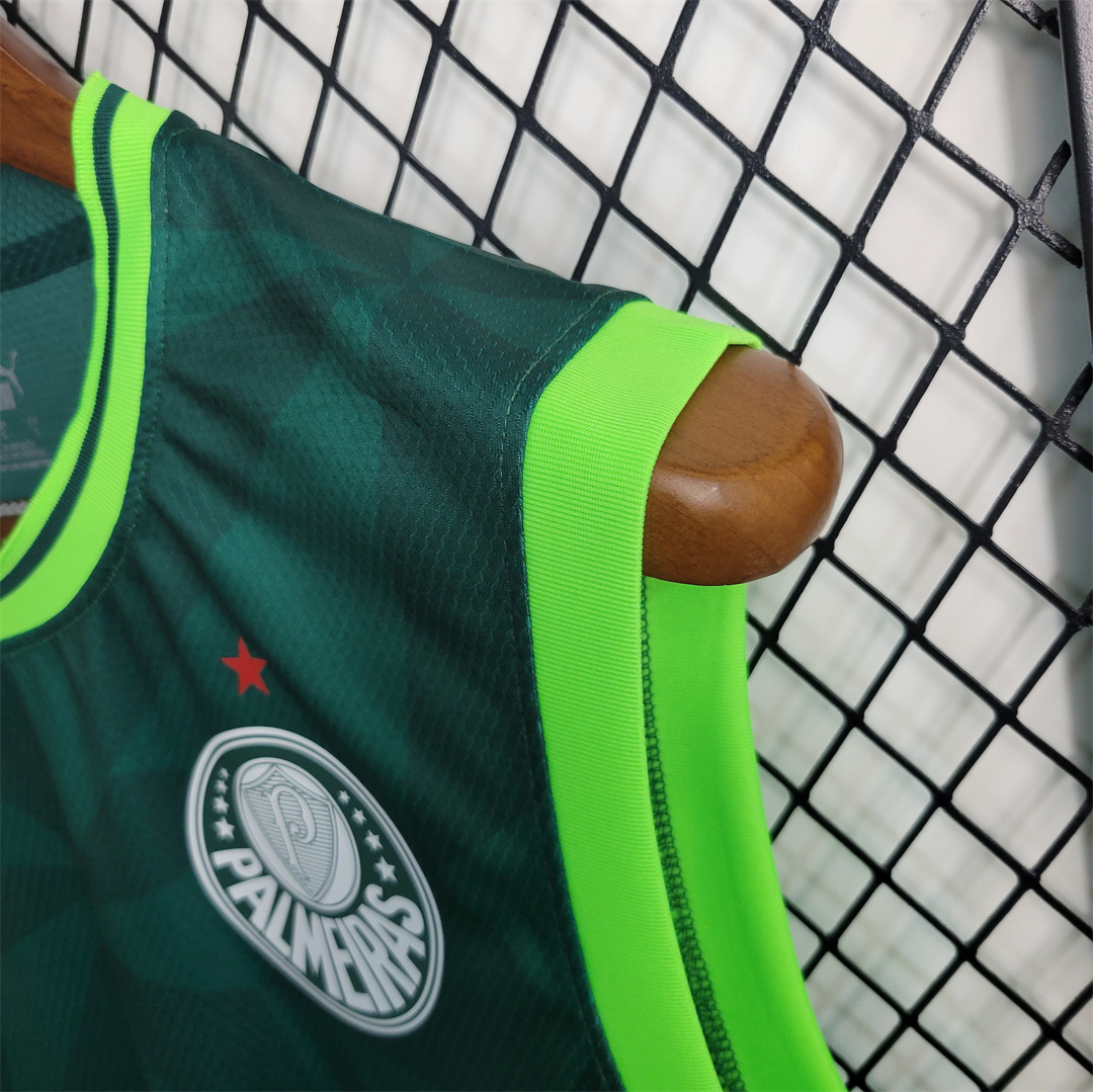 23-24 Palmeiras home tank 1