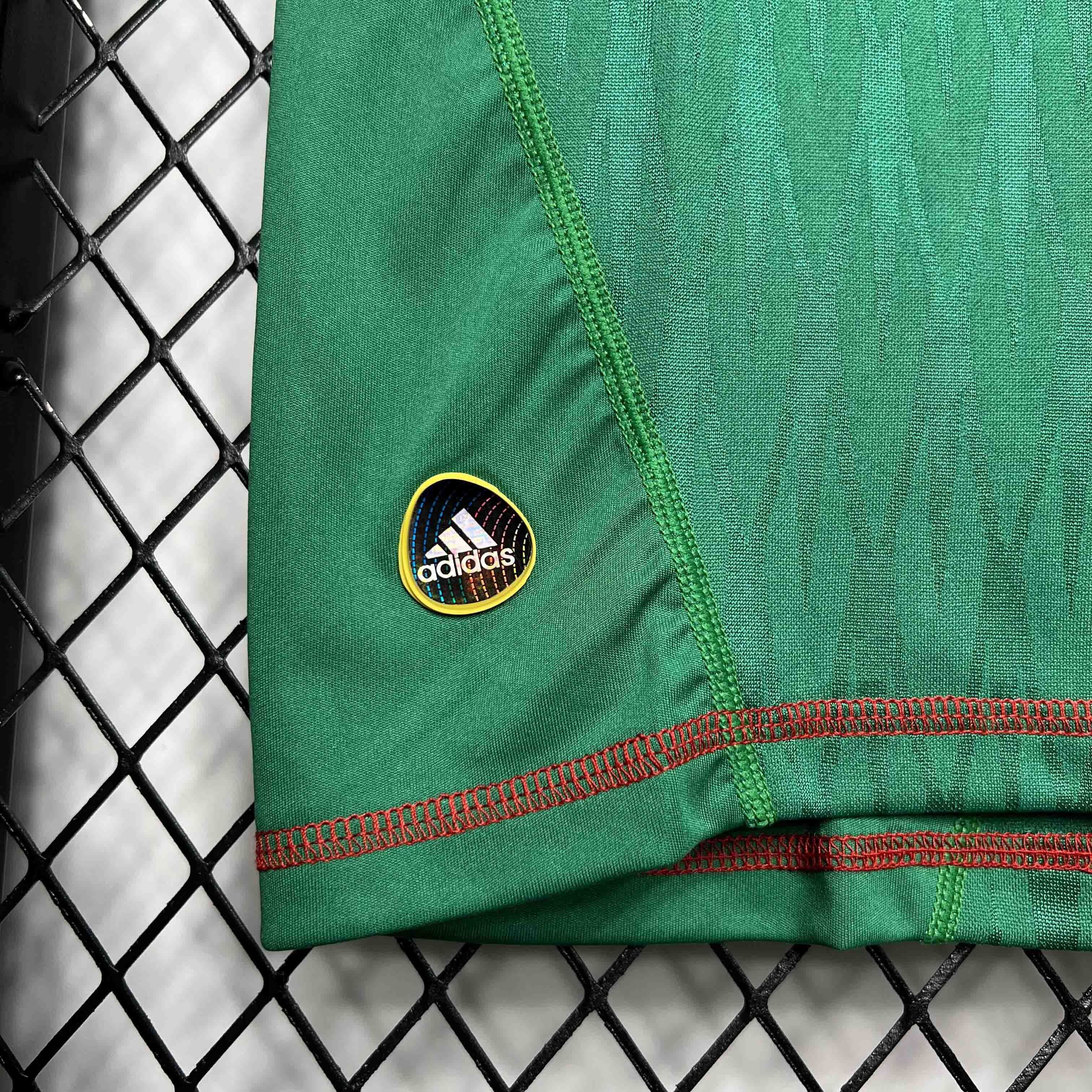 2010 Mexico home 7