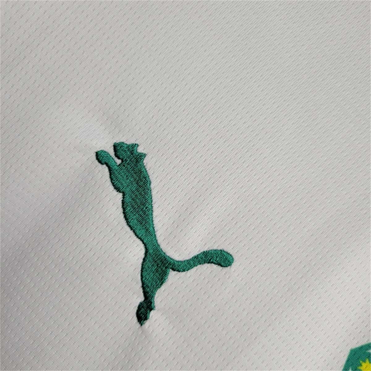 2024 Senegal Home Shirt Football Apparels Soccer AAAAJersey Yupoo 1