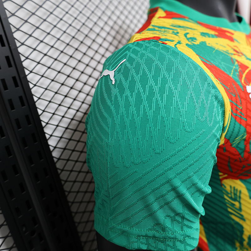 24-25 Ivory Coast Pre-match Kit Player Version Shirt Soccer AAAAJersey Yupoo 6