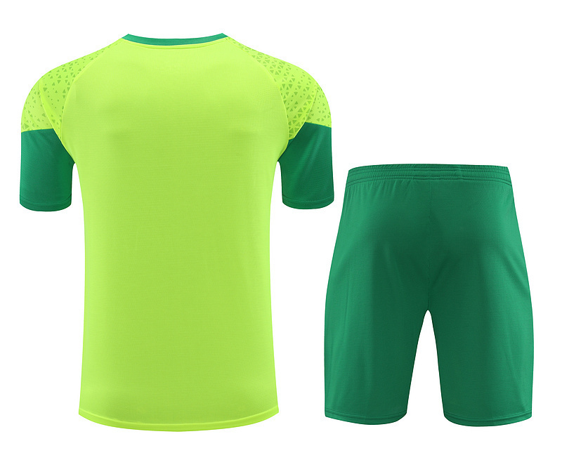 24-25 Palmeiras Training Soccer Jerseys Football Shirts 1