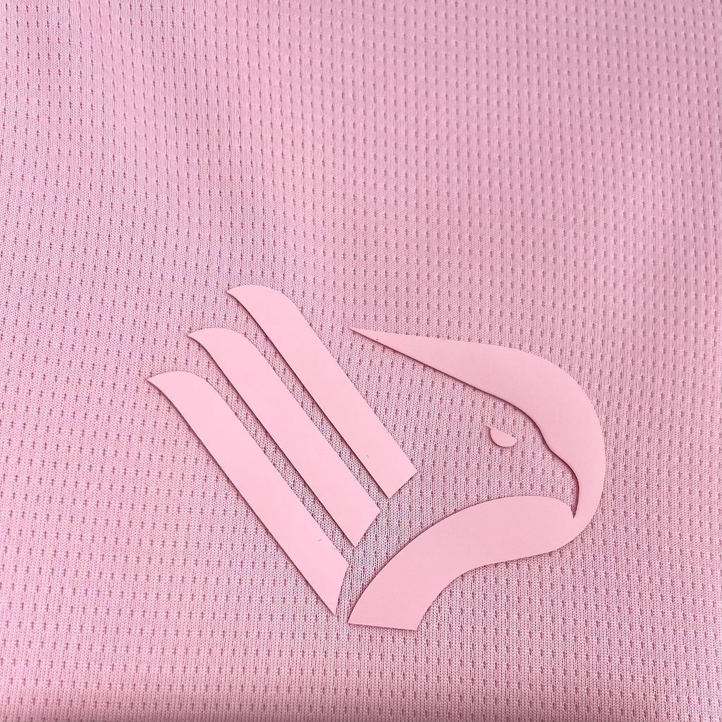 25-26 Palermo Home T-Shirt Football Apparels Soccer AAAAJersey Yupoo 2