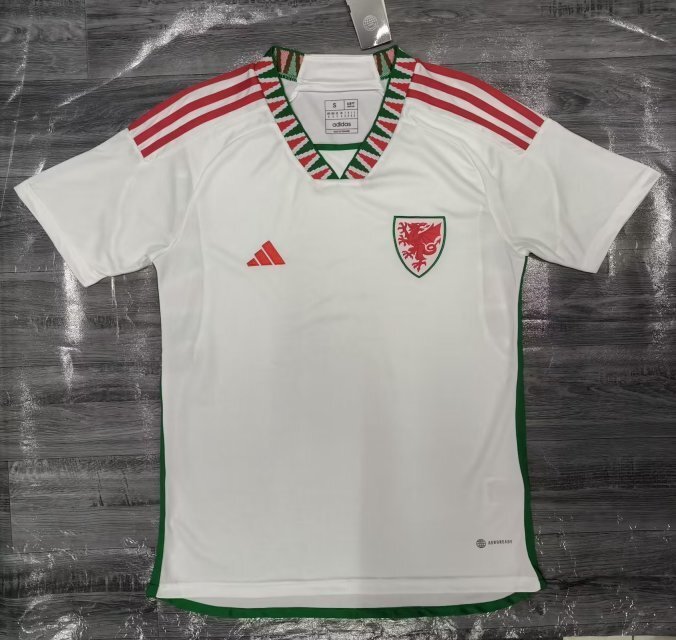 2022 Wales away