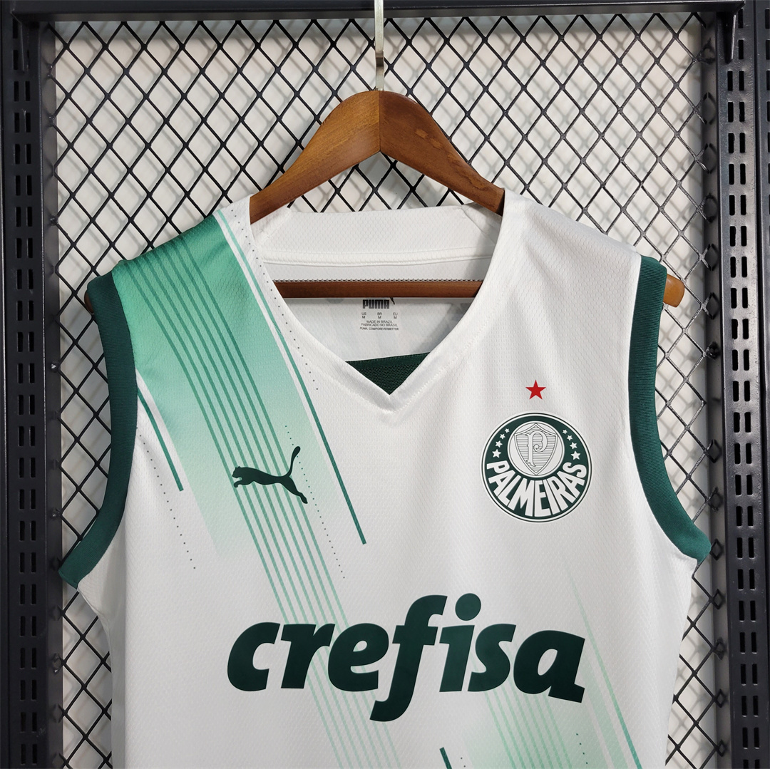 23-24 Palmeiras away tank 4