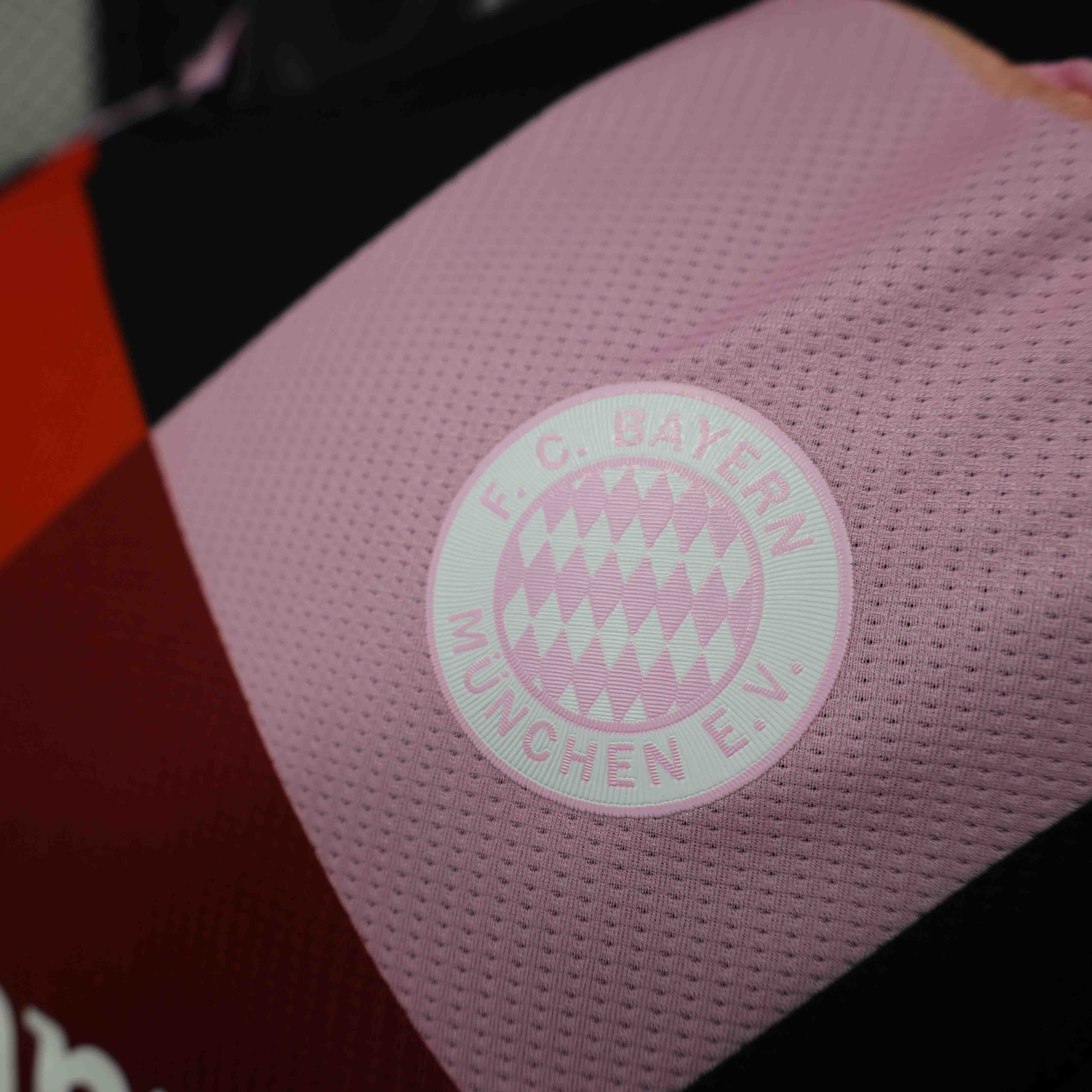 24-25 Bayern Munich X LeGer Special Edition Player Version Shirt AAAAJersey Supplier Yupoo 4