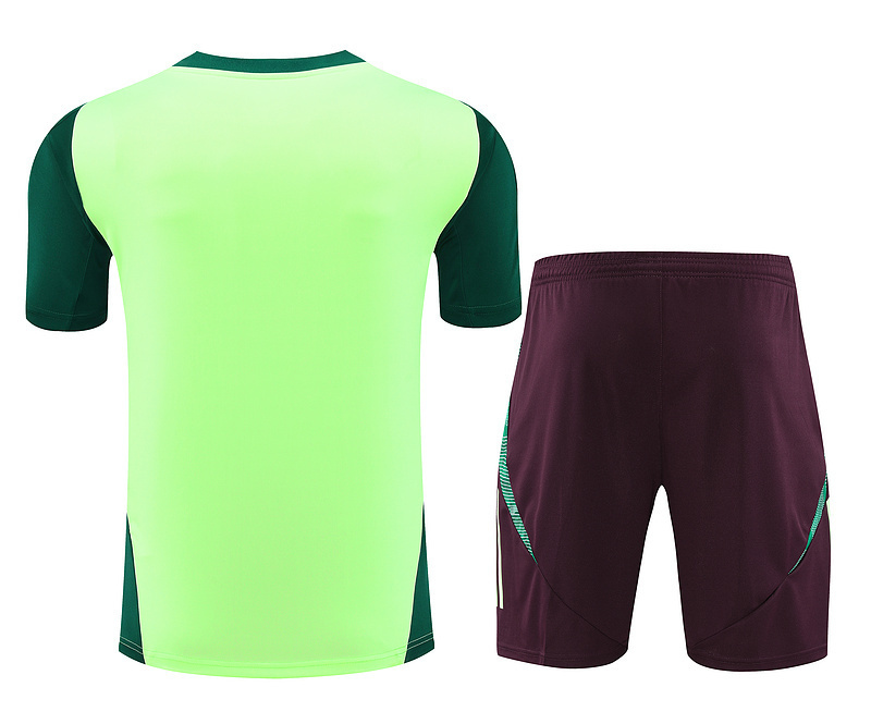 2024 Mexico Training Soccer Jerseys Football Shirts 3