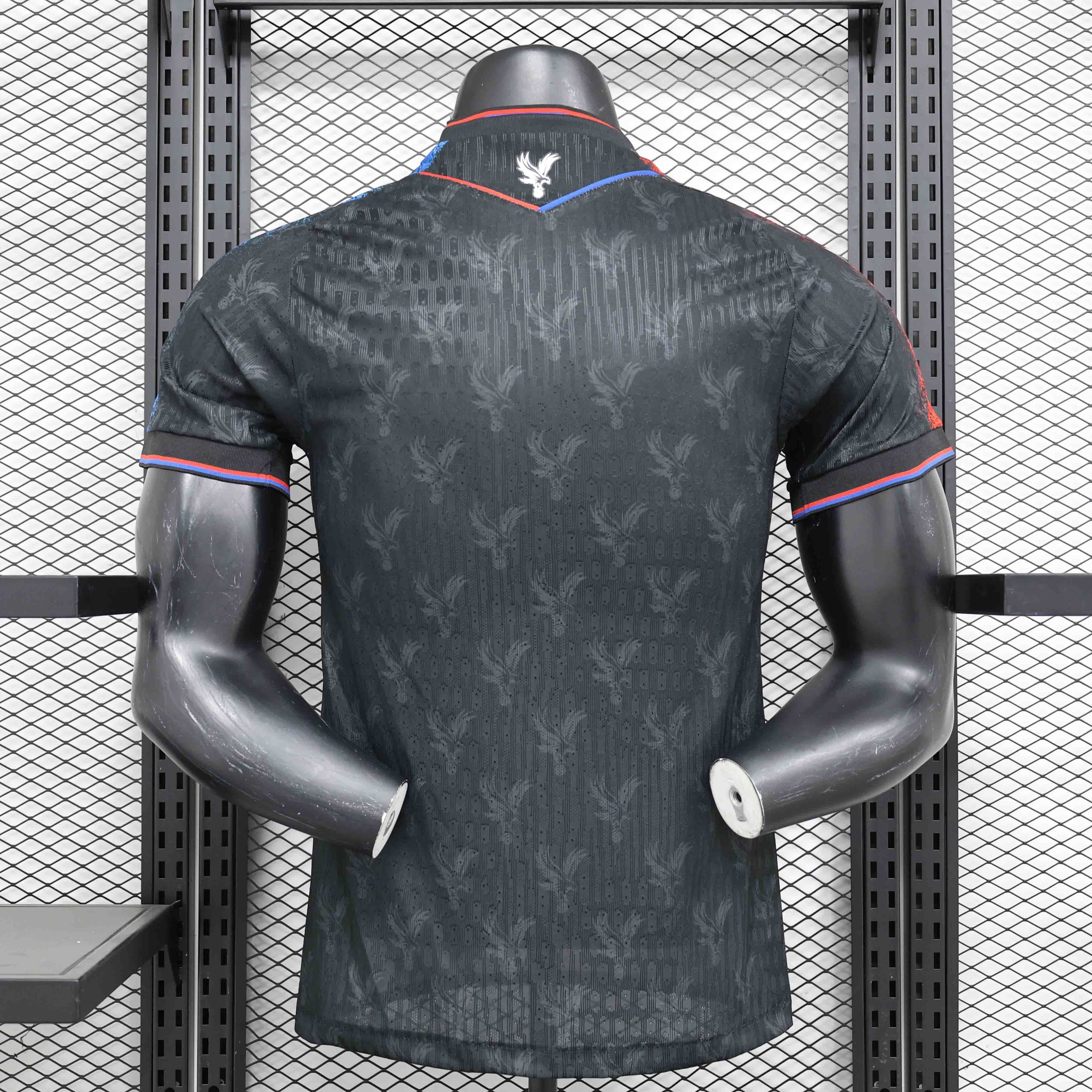 24-25 Crystal Palace Third Kit Player Version Shirt AAAAJersey Supplier Yupoo 2