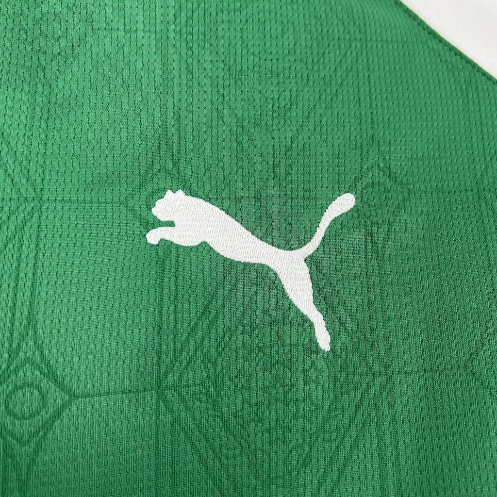 25-26 Palmeiras Home Kit Soccer T-Shirt AAAAJersey Dropship Yupoo 4