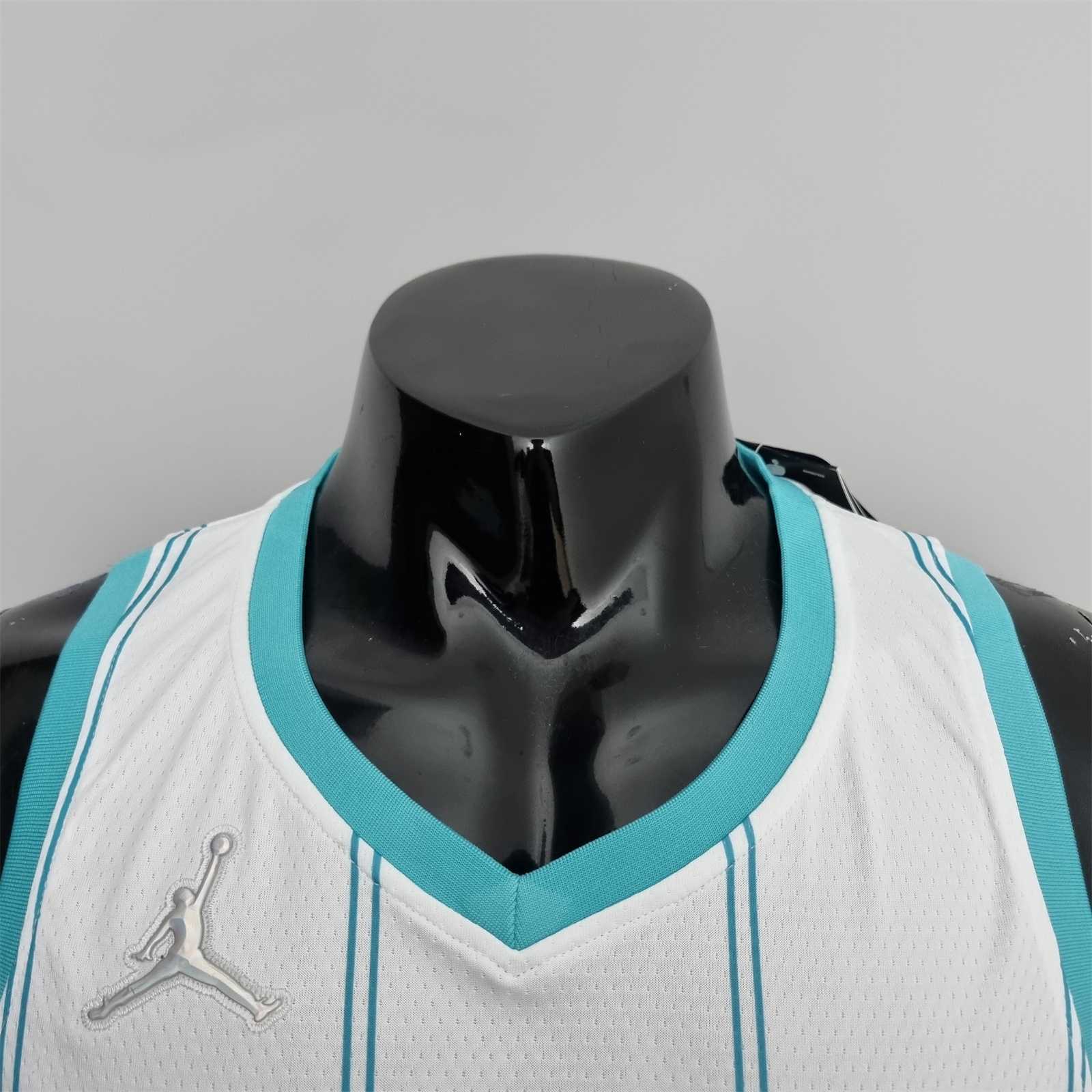 75th Anniversary Hayward #20 Charlotte Hornets White NBA Jersey 2