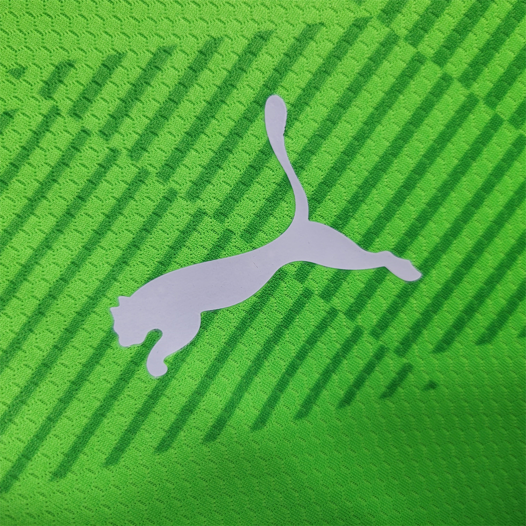 23-24 Palmeiras fluorescent green goalkeeper 8