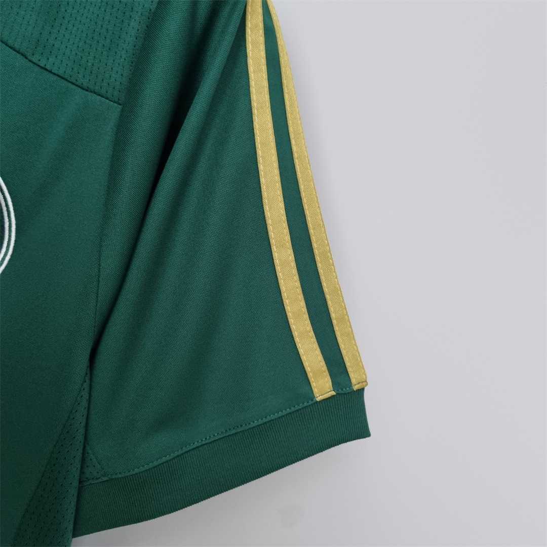 14-15 Palmeiras home 3