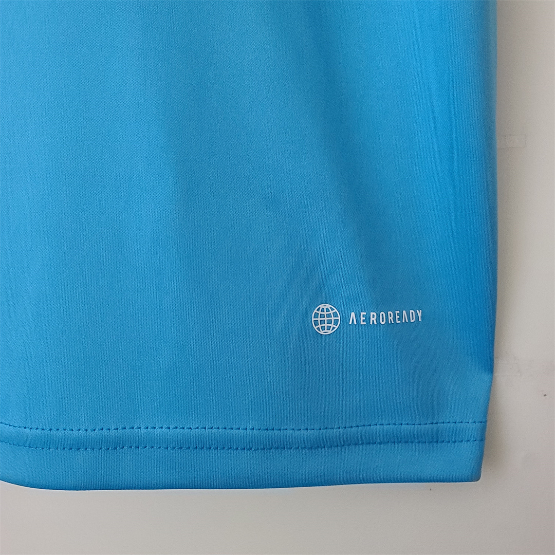 2022 Argentina Training Jersey Blue 1