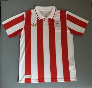 25-26 Olympiacos 100th Anniversary Kit Football T-Shirt AAAAJersey Supply Yupoo 2