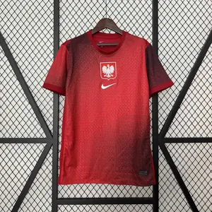 2024 Poland Away Kit UEFA Euro Shirt Football Replicas Yupoo
