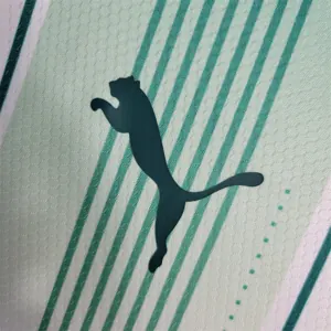 23-24 Palmeiras away long-sleeved 2