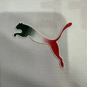 25-26 Chivas Away Kit Football T-Shirt AAAAJersey Supply Yupoo 4