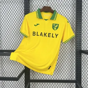 25-26 Norwich City Home Kit Yellow Shirt Soccer Uniforms Soccer AAAAJersey Supply Yupoo