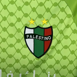 25-26 Palestino Green Goalkeeper Shirt Football Uniform AAAAJersey Yupoo 3