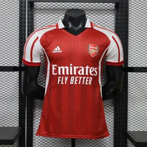26-27 Aresnal Special Edition Player Version Football Blue T-Shirt AAAAJersey Supply Yupoo 5