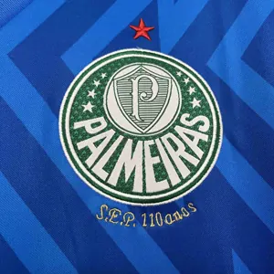 24-25 Palmeiras Goalkeeper Blue Kit Football Replicas Yupoo 9